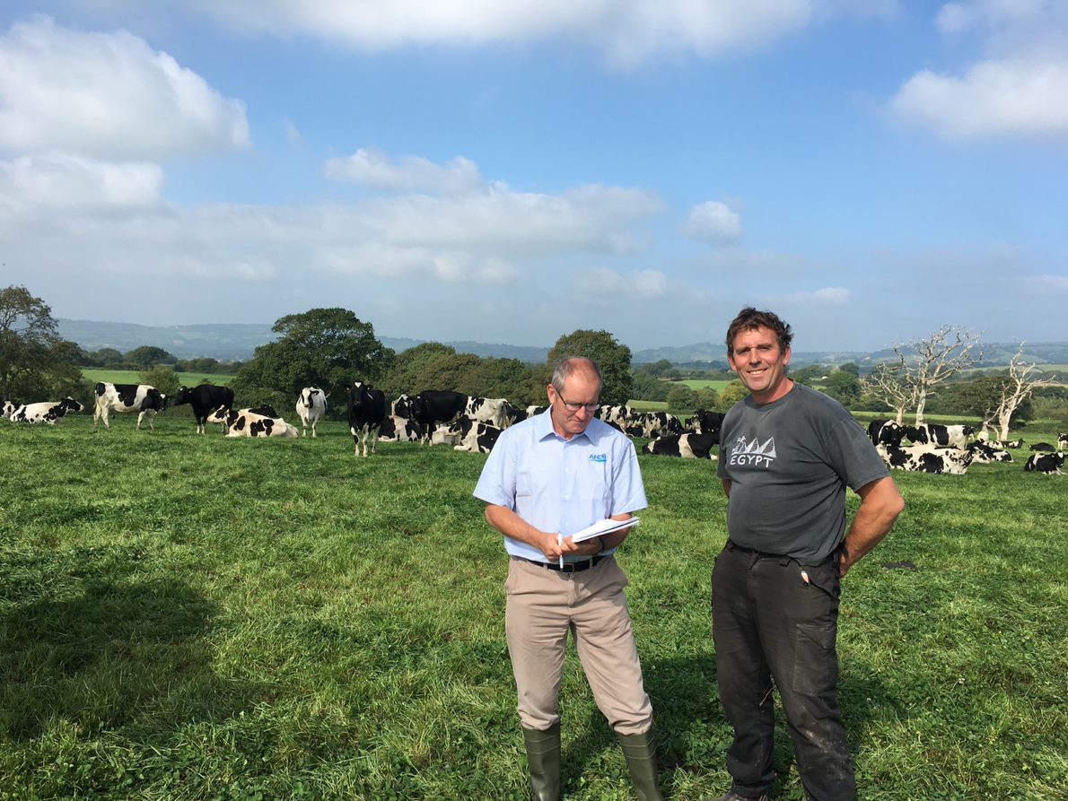 Dairy cows farmer consultant